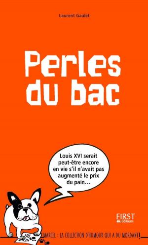 Cover of the book Perles du bac by Vincent AMIEL