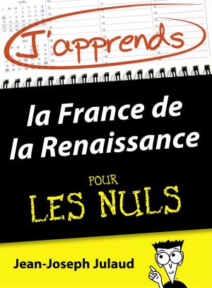 Cover of the book J'apprends la France de la Renaissance pour les Nuls by Stéphane PILET