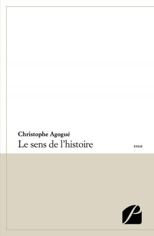 Cover of the book Le sens de l'histoire by Christophe Agogué
