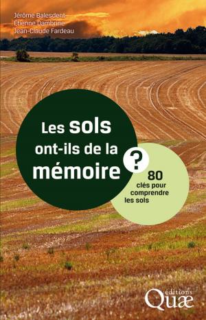 Cover of the book Les sols ont-ils de la mémoire ? by Tahar Rachadi