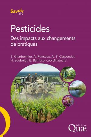 Cover of the book Pesticides by Freddy Rey, Frédéric Berger, Antoine Hurand, Sylvie Simon-Teissier, Guy Calès, Jean Ladier