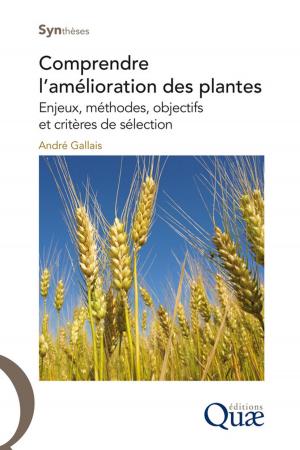 Cover of the book Comprendre l'amélioration des plantes by Gilles Agrech
