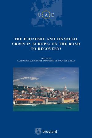 Cover of the book The Economic and Financial crisis in Europe : on the road to recovery by Marc Uyttendaele