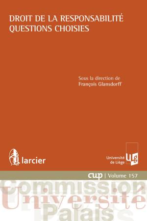 Cover of the book Droit de la responsabilité - Questions choisies by Jean-François Boudet, Raymond Muzellec