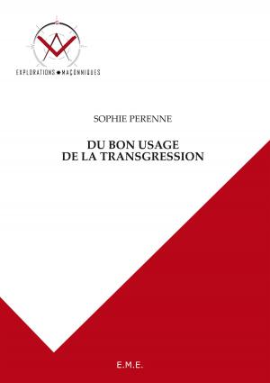 Cover of the book Du bon usage de la transgression by Marielle Rispail, Hadjer Ammari