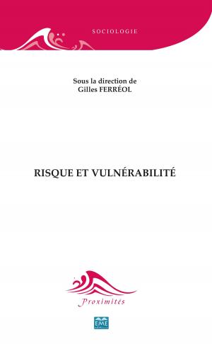 Book cover of Risque et vulnérabilité