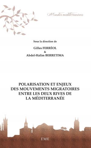 Book cover of Polarisation et enjeux des mouvements migratoires entre les deux rives de la Méditerranée