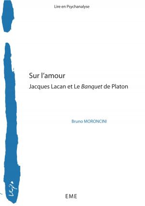 Cover of the book Sur l'amour by Guy Krenger