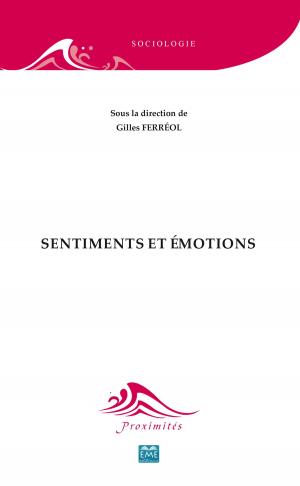 Cover of the book Sentiments et émotions by Philippe Blanchet, Didier de Robillard
