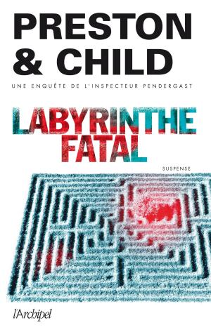 Cover of the book Labyrinthe fatal by Arno Strobel