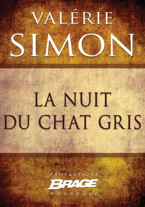 Cover of the book La Nuit du chat gris by David Gemmell