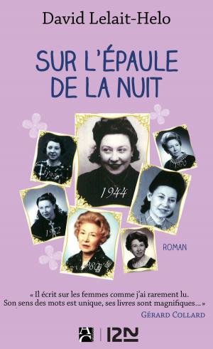 Cover of the book Sur l'épaule de la nuit by Cassandra CLARE