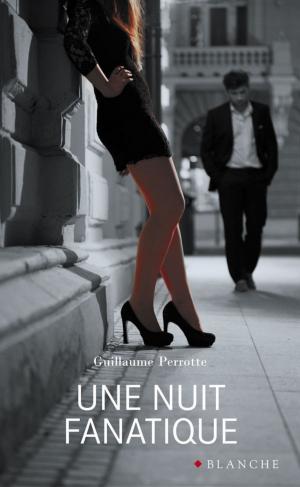 Cover of the book Une Nuit fanatique by Christina Lauren