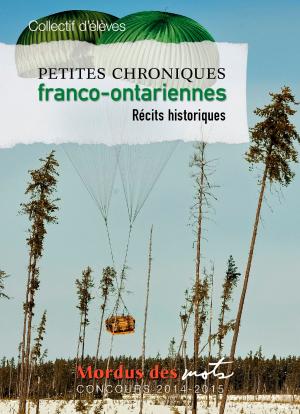 Cover of the book Petites chroniques franco-ontariennes by Katia Canciani