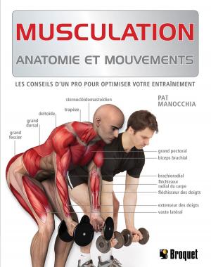 Cover of the book Musculation by Abigail Ellsworth