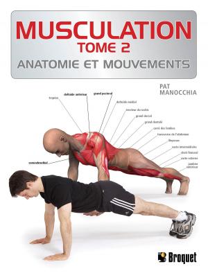 Cover of the book Musculation TOME 2 by Jean-Marc Lord, André Pelletier