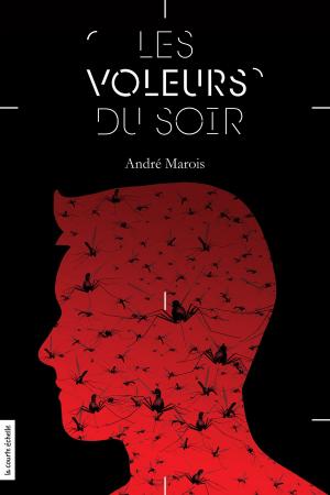 Cover of the book Les voleurs du soir by Catherine Stine
