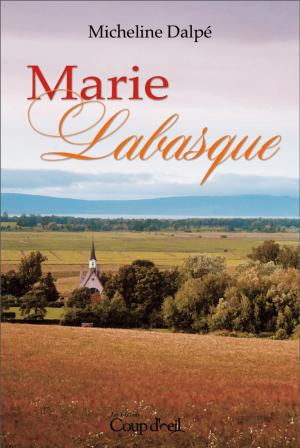 bigCover of the book Marie Labasque by 