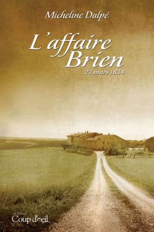 Cover of the book L'affaire Brien by Micheline Dalpé