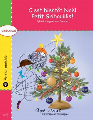 Cover of C’est bientôt Noël, Petit Gribouillis ! - version enrichie