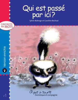Cover of the book Qui est passé par ici ? - version enrichie by Sylvie Roberge