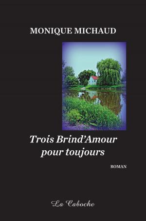 Cover of the book Trois Brind'Amour pour toujours by Dominique Girard