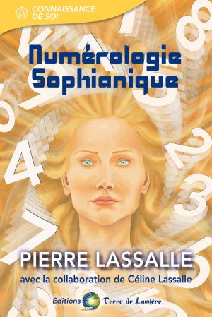 Cover of the book Numérologie Sophianique by Ewald Kliegel