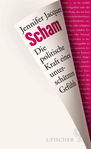 Cover of the book Scham by Peter Hammerschmidt