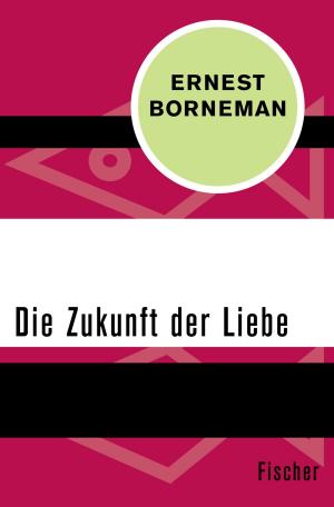 Cover of the book Die Zukunft der Liebe by Dr. Barbara Bronnen