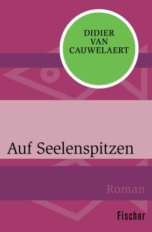 Cover of the book Auf Seelenspitzen by Dr. Carl J. Burckhardt