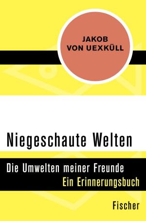 Cover of the book Niegeschaute Welten by Alexander Borbély