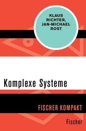 Cover of the book Komplexe Systeme by Hans-Christoph Blumenberg