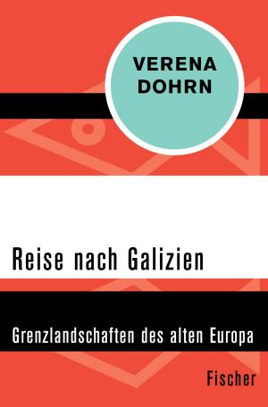 Cover of the book Reise nach Galizien by Ricardo Belo
