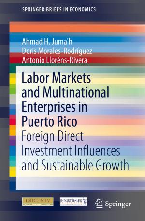 Cover of the book Labor Markets and Multinational Enterprises in Puerto Rico by 