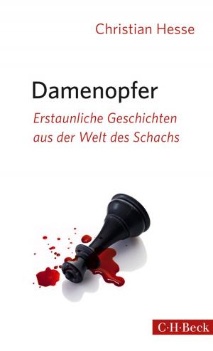 Cover of the book Damenopfer by Robert Newshutz