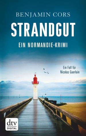 Cover of the book Strandgut by Cornelia Franz