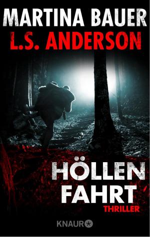 Cover of the book Höllenfahrt by Caren Benedikt