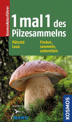 Cover of the book 1 x 1 des Pilzesammelns by Antje Szillat