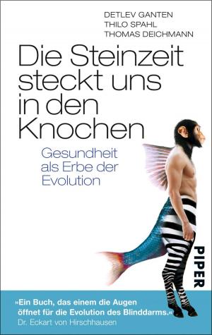 Cover of the book Die Steinzeit steckt uns in den Knochen by Lauren Rowe