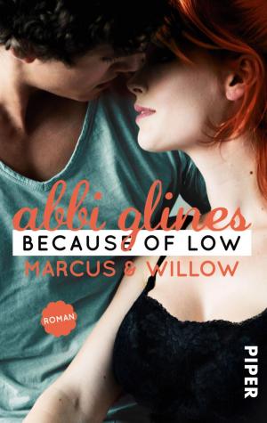 Cover of the book Because of Low – Marcus und Willow by Maarten 't Hart