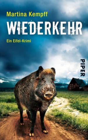 Cover of the book Wiederkehr by Heinrich Steinfest
