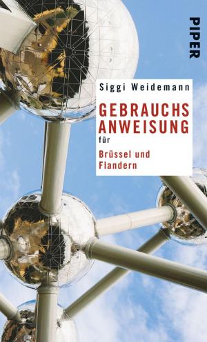Book cover of Gebrauchsanweisung für Brüssel und Flandern