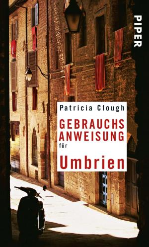 Cover of the book Gebrauchsanweisung für Umbrien by Manú Dornbierer