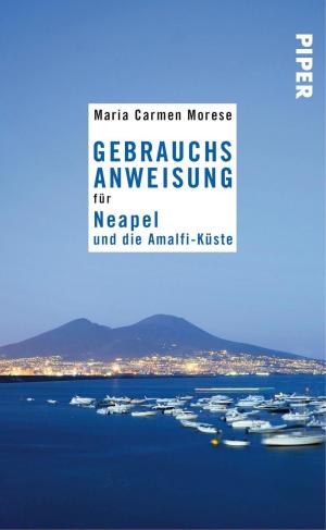 Cover of the book Gebrauchsanweisung für Neapel und die Amalfi-Küste by François Lelord, Christophe André