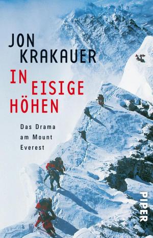 Book cover of In eisige Höhen