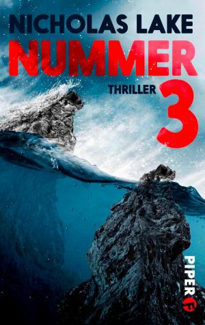 bigCover of the book Nummer 3 by 