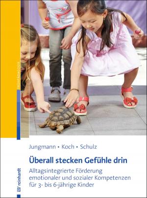 Cover of the book Überall stecken Gefühle drin by Claudia Brohammer, Astrid Kämpfer