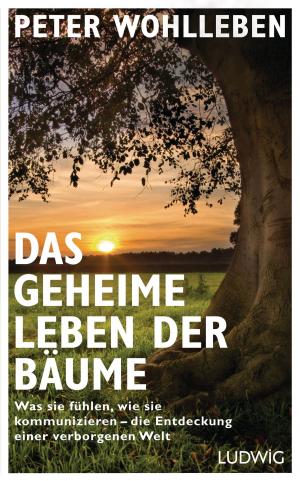 Cover of the book Das geheime Leben der Bäume by Peter Wohlleben