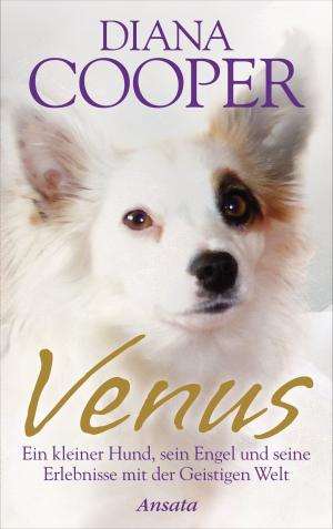 Cover of the book Venus by Stephen Larsen, Ph.D.