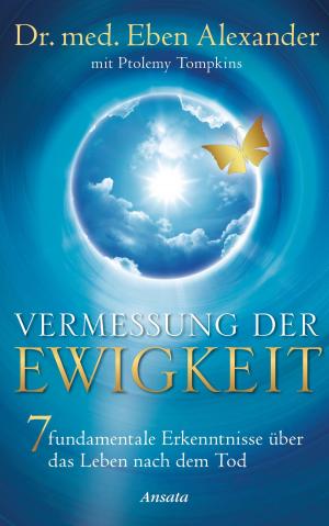 Cover of the book Vermessung der Ewigkeit by Diana Cooper